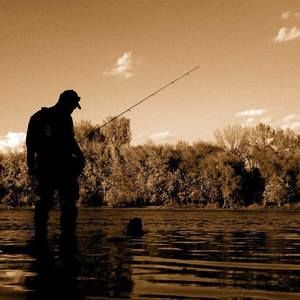 Meet your Posher, Steven